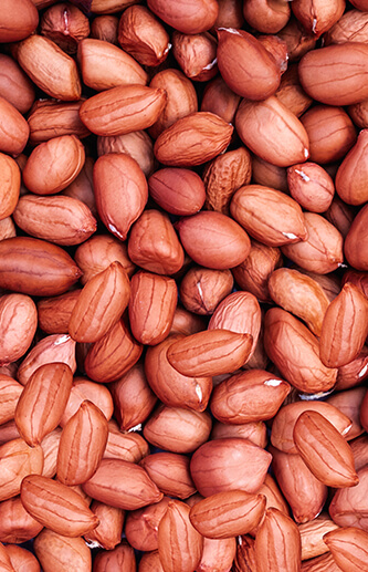 Groundnut Kernels