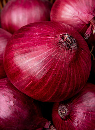 Onion