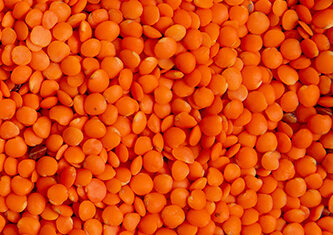 Pulses