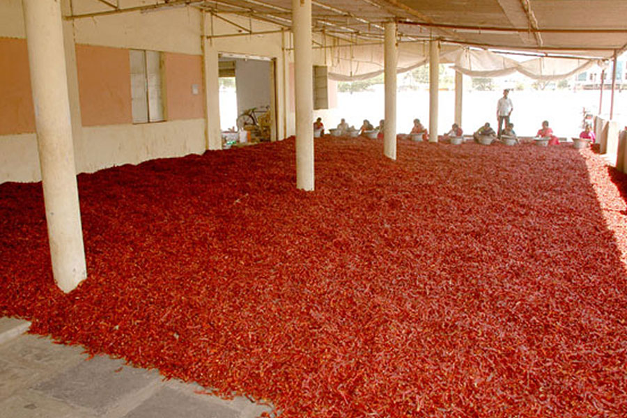 Guntur Warehouse