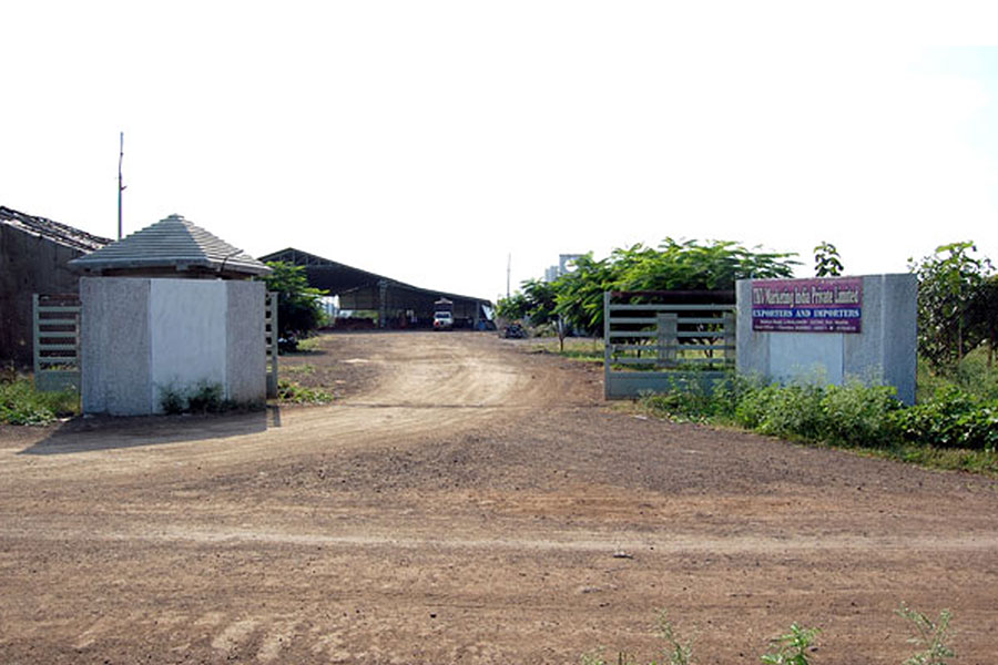 Lasalgaon Warehouse