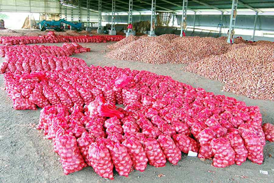 Lasalgaon Warehouse