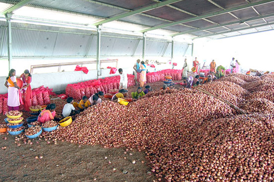 Lasalgaon Warehouse
